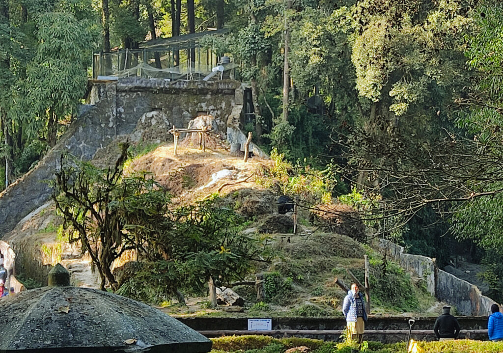 Seven Points of Darjeeling